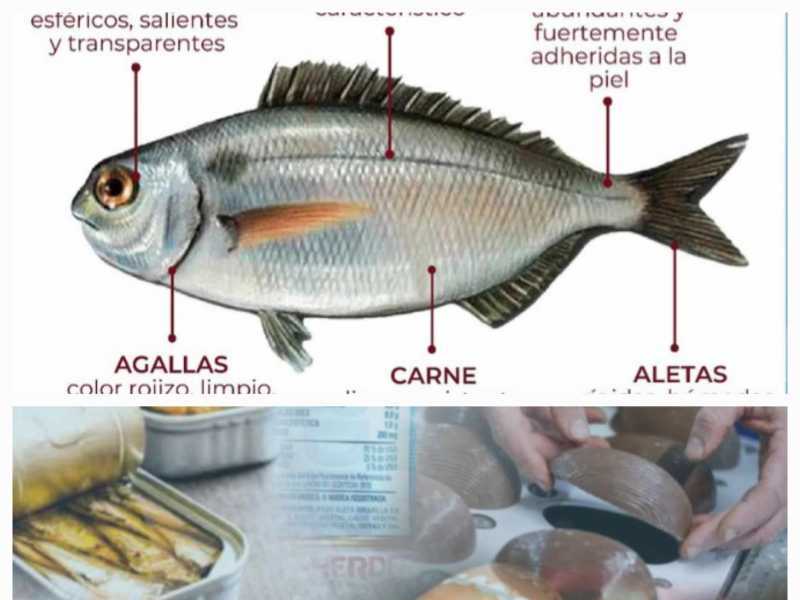 Pascuas Segura