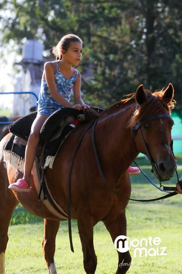 Se inauguró la Escuela de Equitación