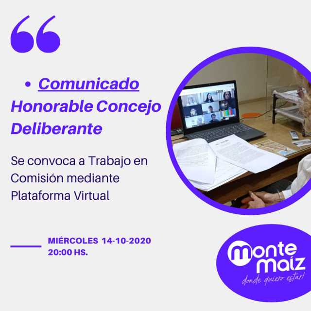 El Concejo sesiona virtualmente