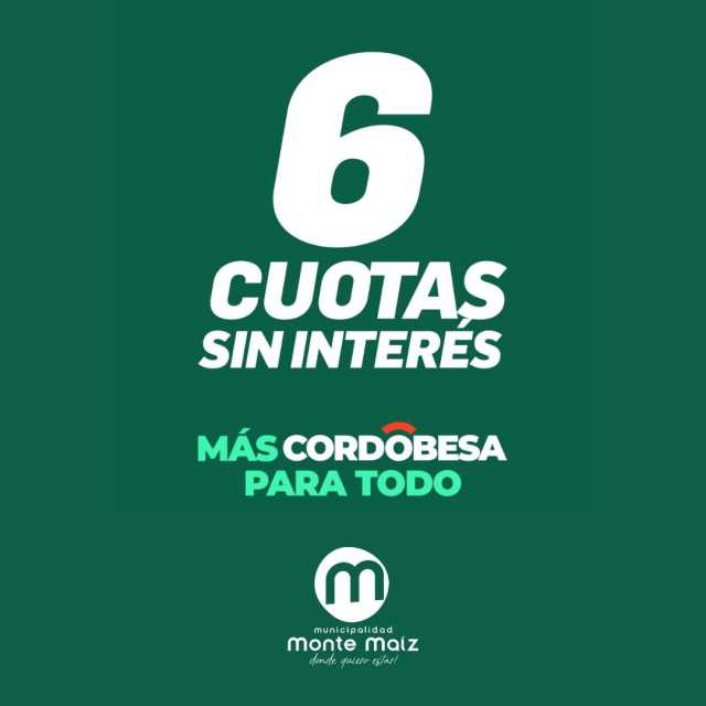 6 cuotas sin interés