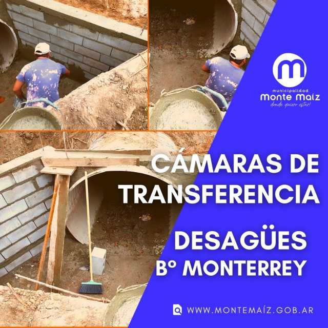 Cámaras de Transferencia