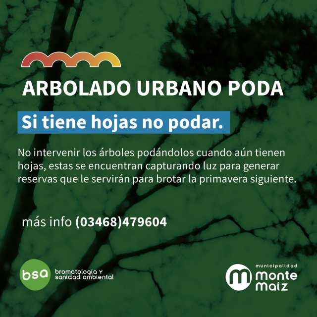 RECOMENDACIONES PARA LA PODA DE ÁRBOLES