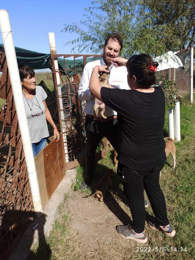 VACUNACIÓN EN EL REFUGIO MUNICIPAL COLITAS