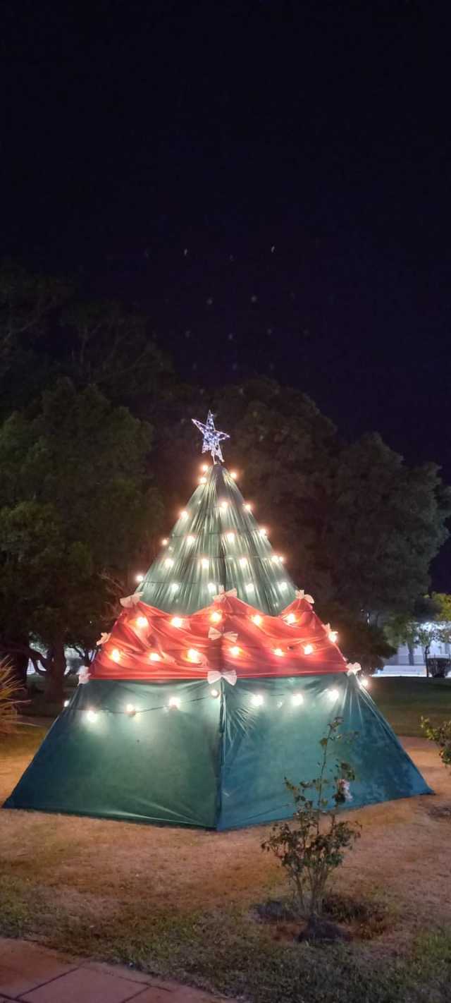 YA LUCE EL ÁRBOL DE NAVIDAD EN LA PLAZA DEL PUEBLO