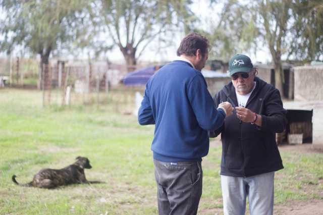 Vacunación de Perros en el Refugio Municipal