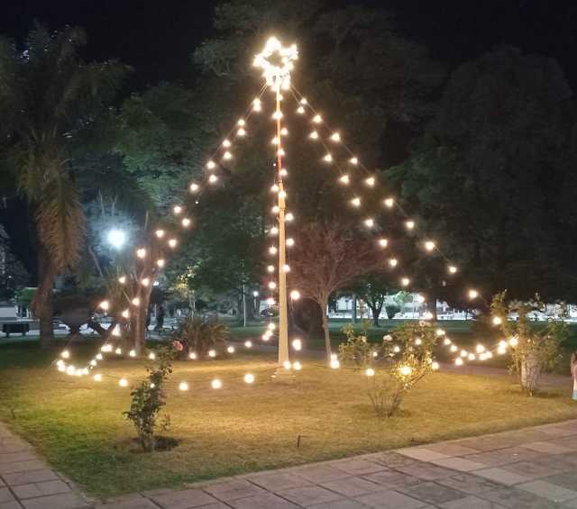 Se encendió el árbol de Navidad