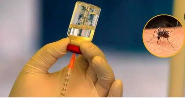 La vacuna contra el dengue solo se consigue de manera particular