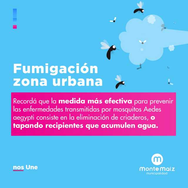 Continúa la fumigación contra mosquitos