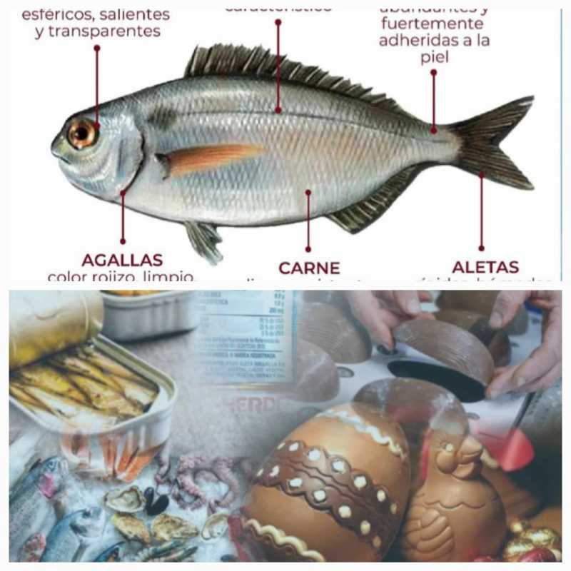 Pascuas Segura