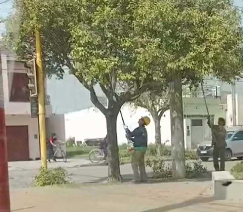 EPEC puede hacer podas controladas