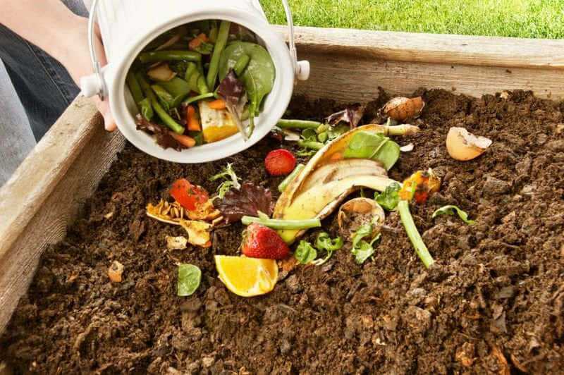 Compostaje doméstico para un ambiente más saludable