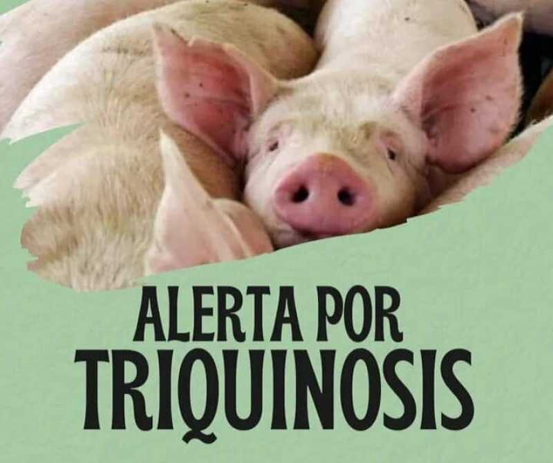Hay casos de triquinosis en la región